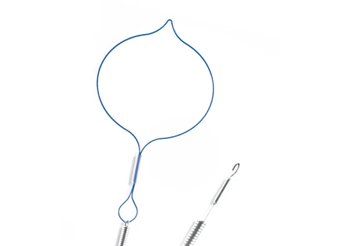 endoloop-catheter